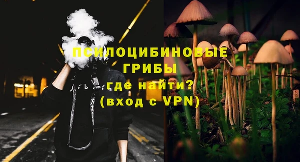 стаф Алексеевка