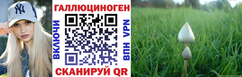 Псилоцибиновые грибы прущие грибы  наркота  Светлоград 