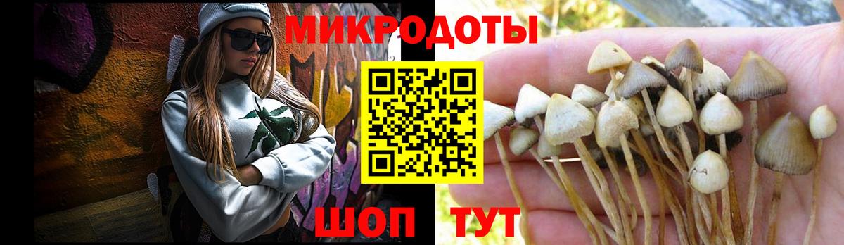 наркотики  Псилоцибиновые грибы Psilocybe  Вход с VPN  Галлюциногенные грибы Psilocybine cubensis  Светлоград 